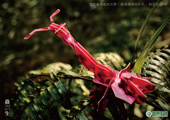 ACD04001 蟲生INSACT-壓克力昆蟲拼圖－產品照片 1