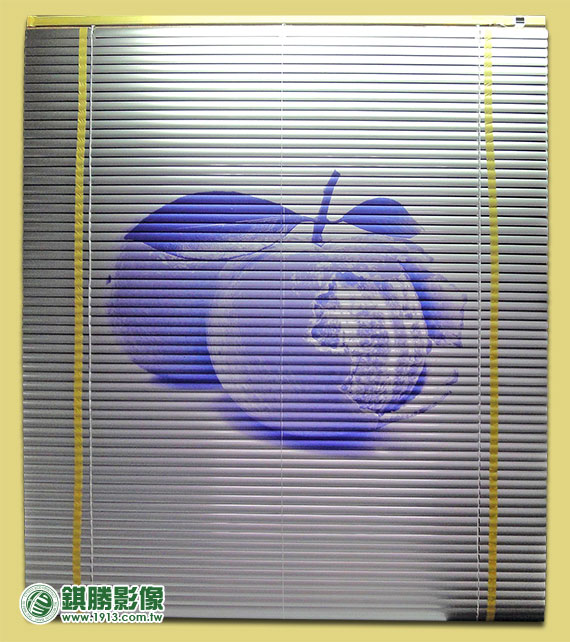 百葉窗柑橘