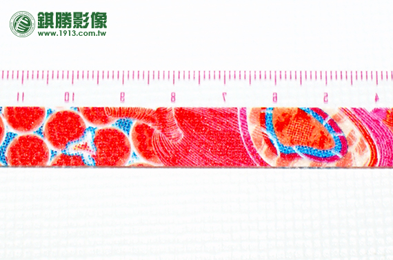 ACB01004 變形事件百變尺－【正面局部】