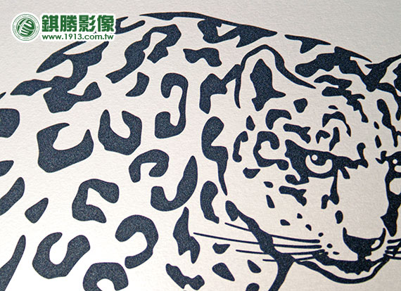 SN04001 雪豹美耐板－產品照片 2