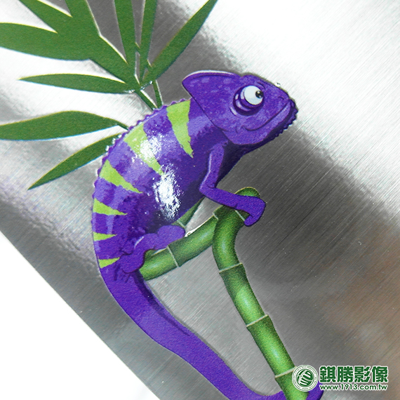 ST01017 植物名稱牌－【厚度】