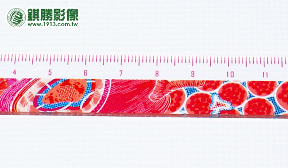ACB01004 變形事件百變尺－【背面局部】
