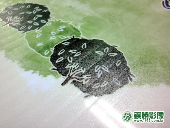 SN07001 南萬華展覽－產品照片 4