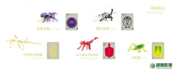 ACD04001 蟲生INSACT-壓克力昆蟲拼圖－產品照片 5