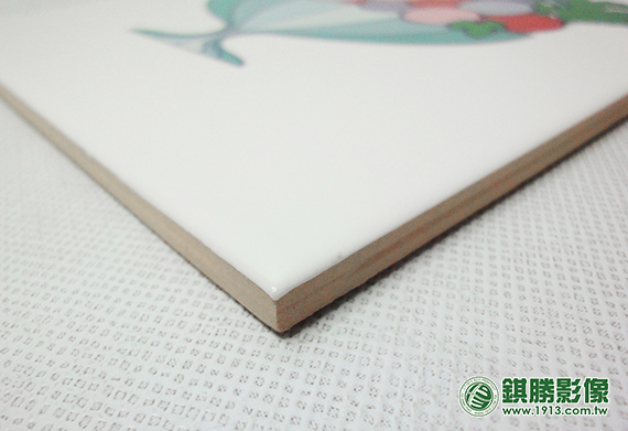 TL01005 仿釉下彩室內磁磚－產品照片 6